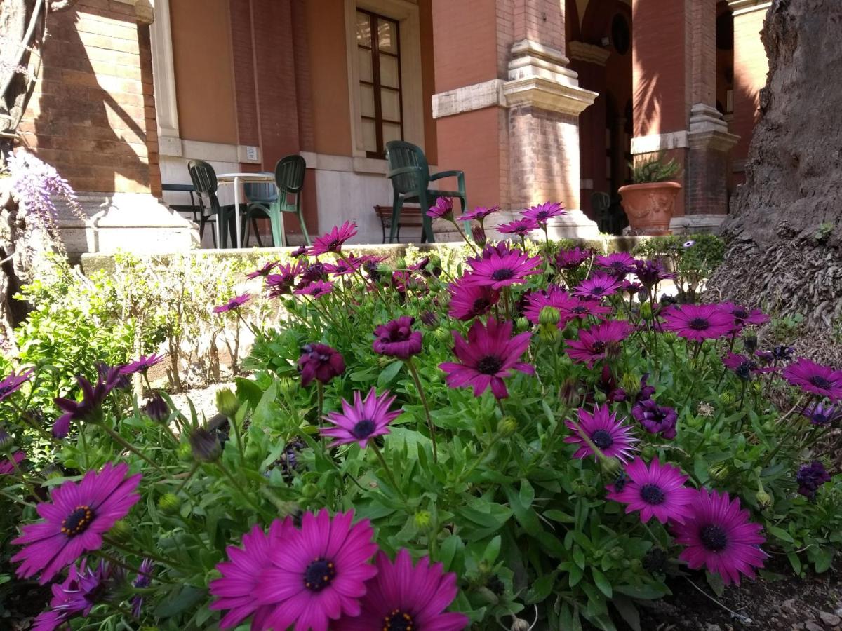 Casa S. Giuseppe di Cluny