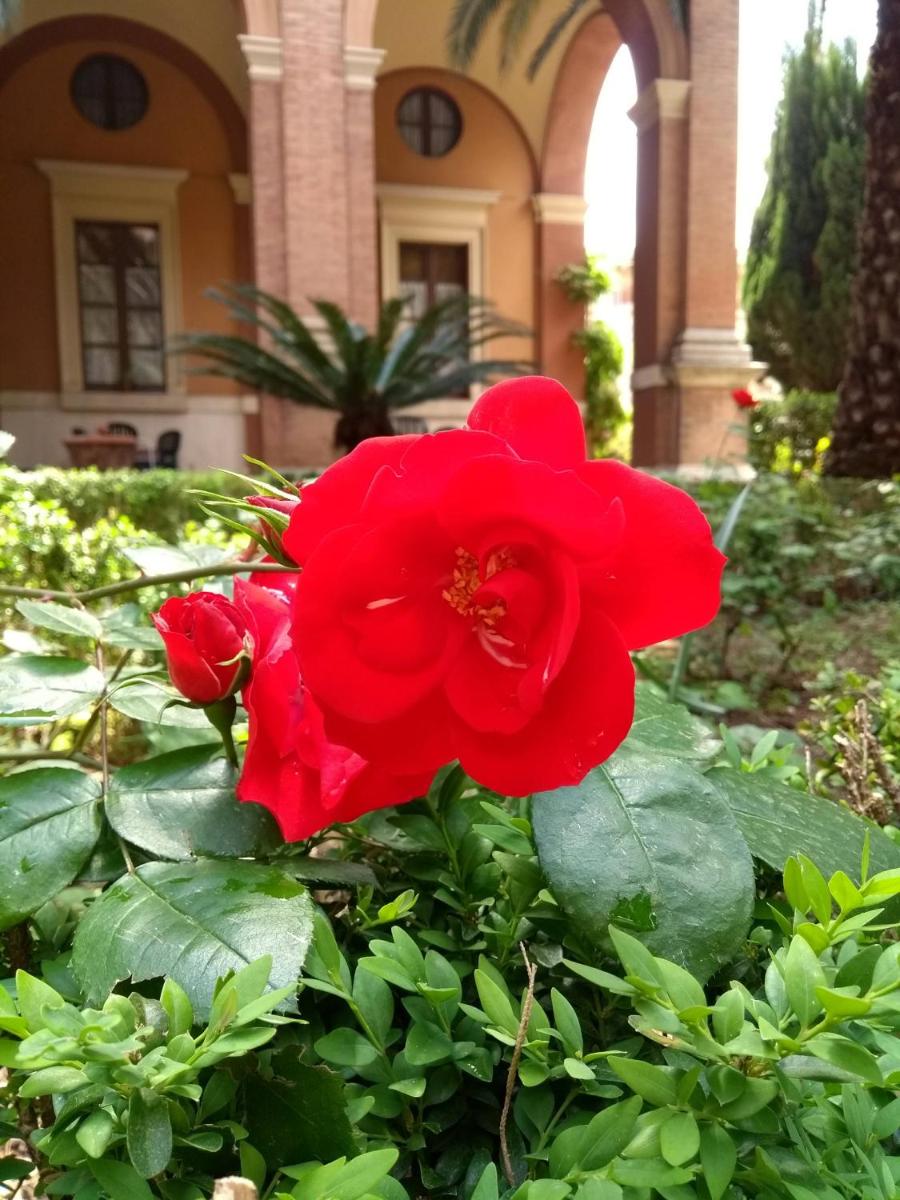 Casa S. Giuseppe di Cluny