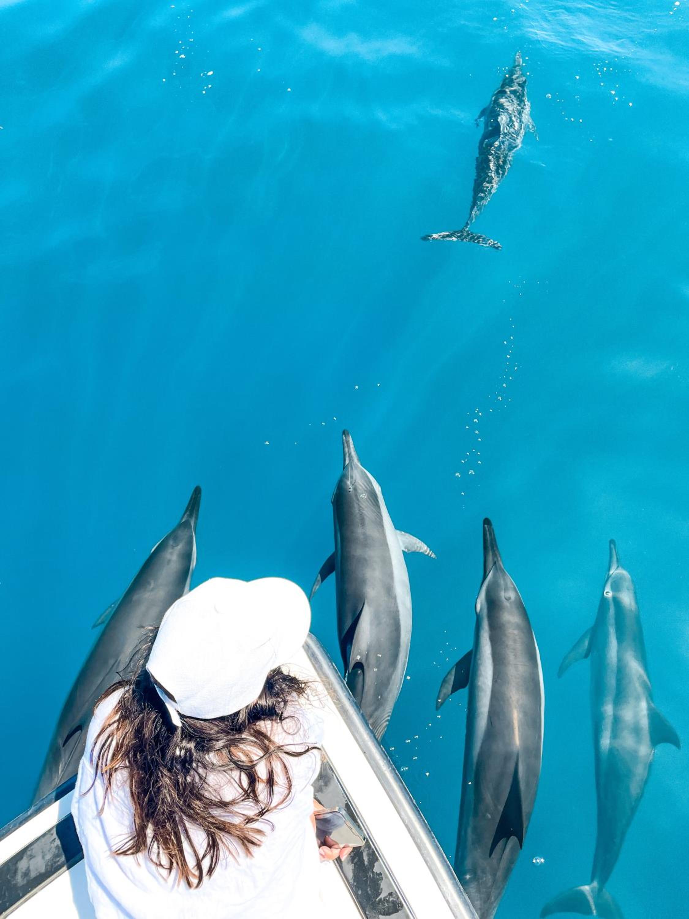 Araamu Hotels Maldives at Dhiffushi photo 5