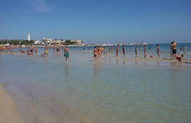 Photo 40
