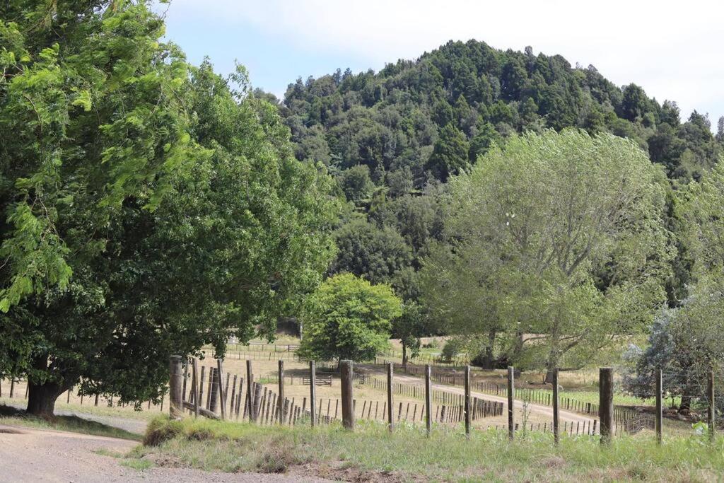 Tui Ridge Cottage view 3