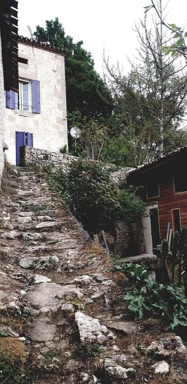 Photo 45