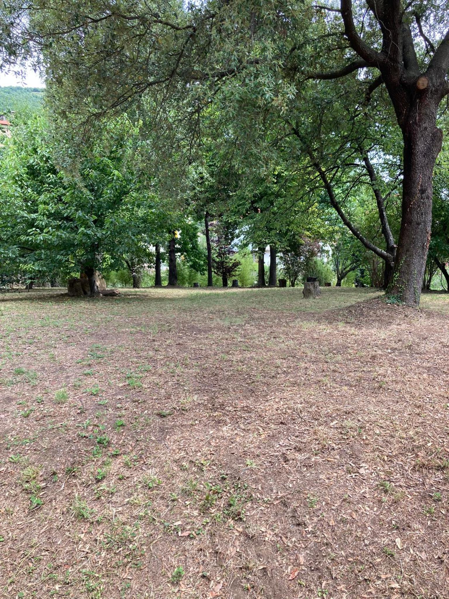Photo 31
