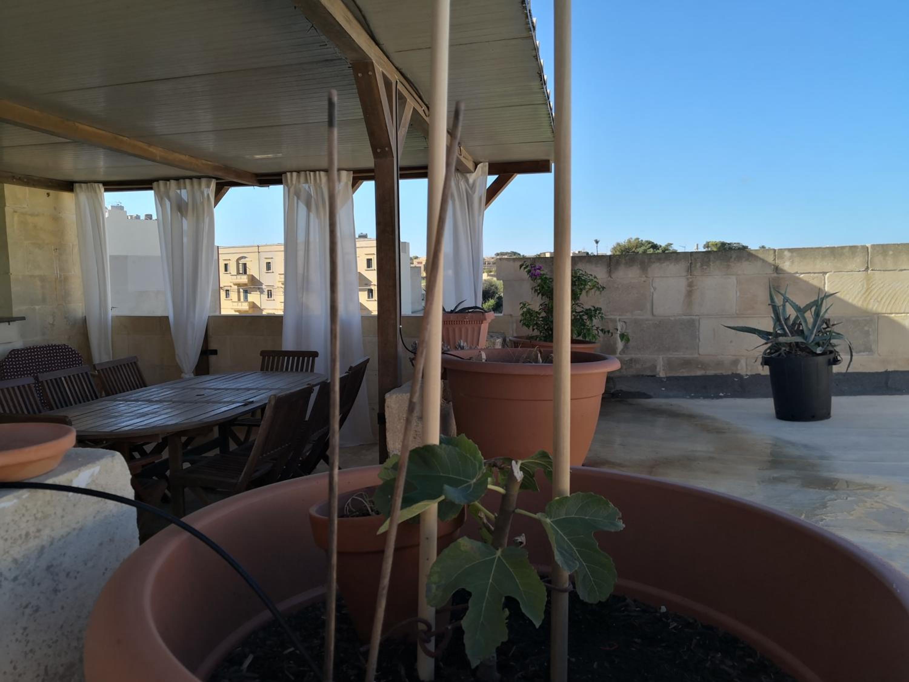 Casa Laeta photo 4