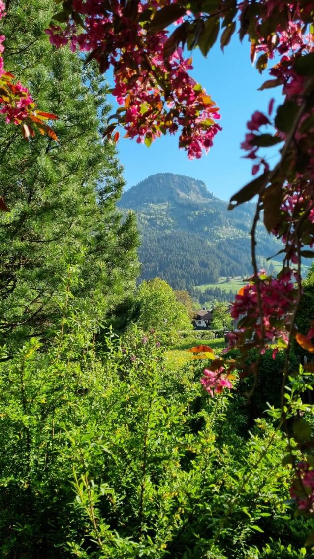 Landhaus Via Decia - Bad Hindelang PLUS Partner