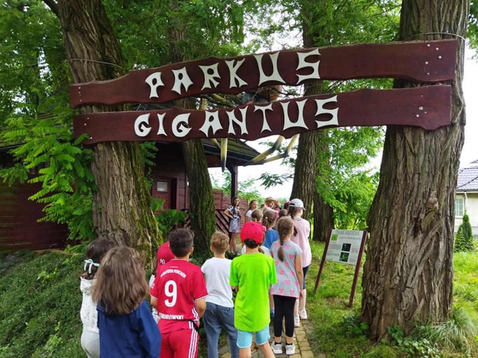 children's play area
