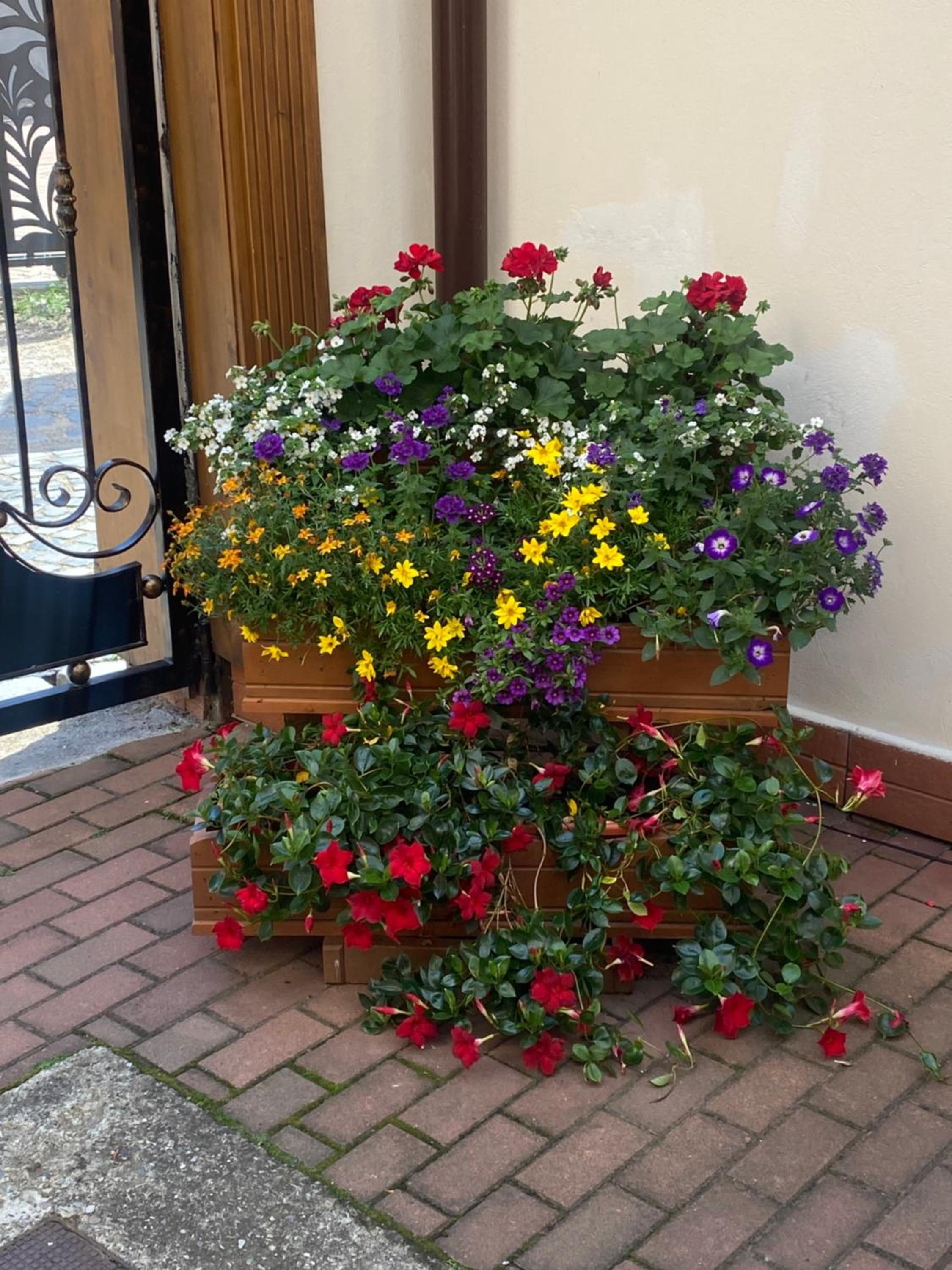 Photo 48