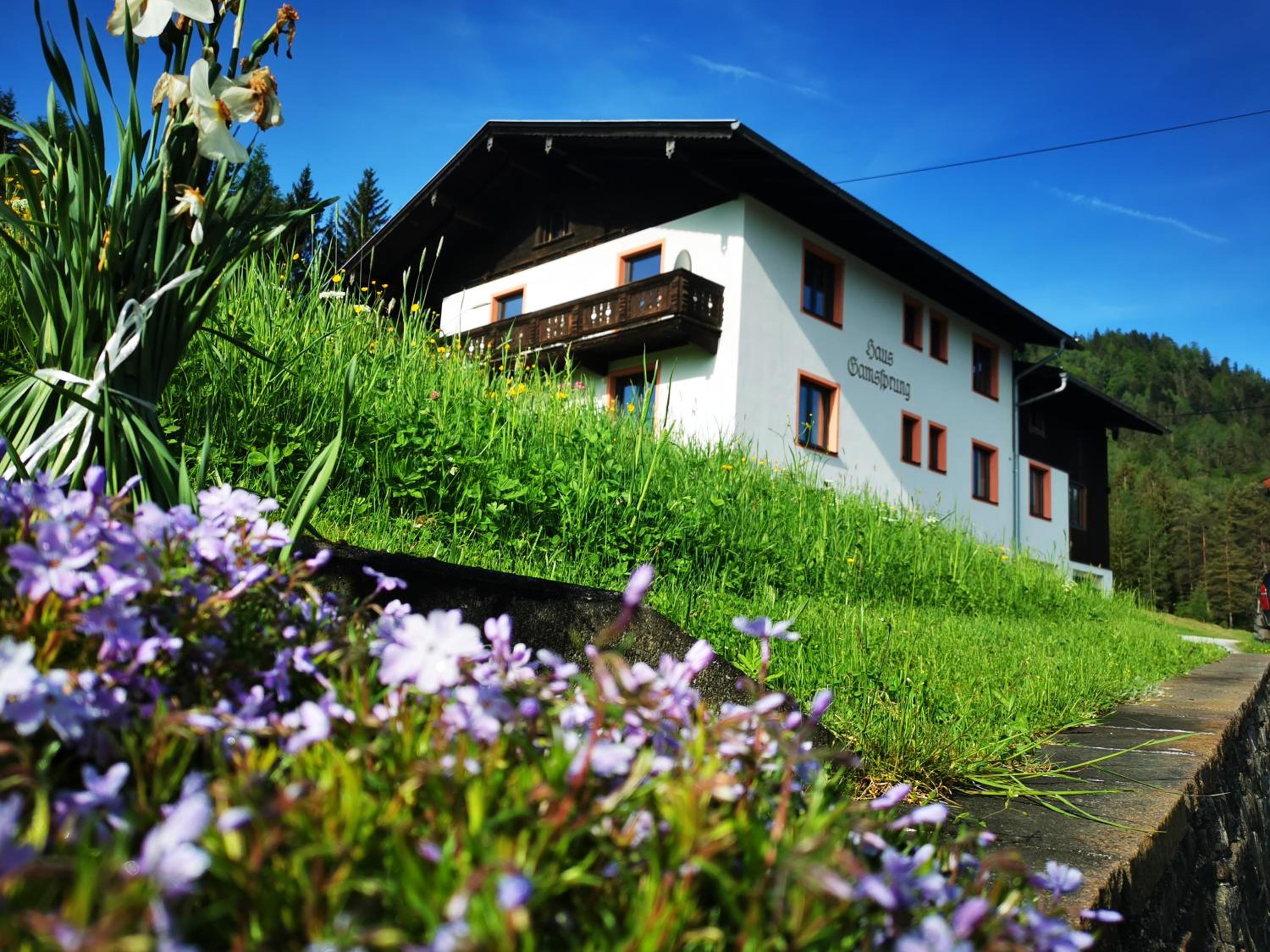 Haus Gamssprung view 2