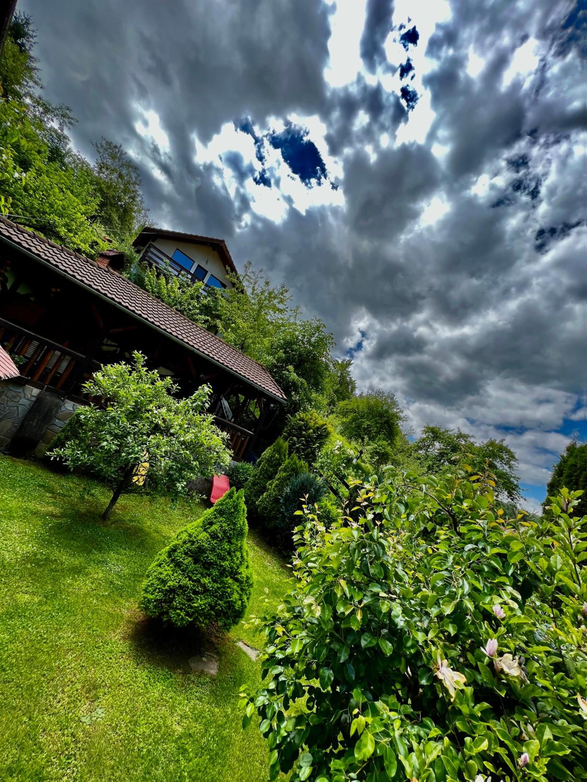 Cabana Vânătorilor view 2