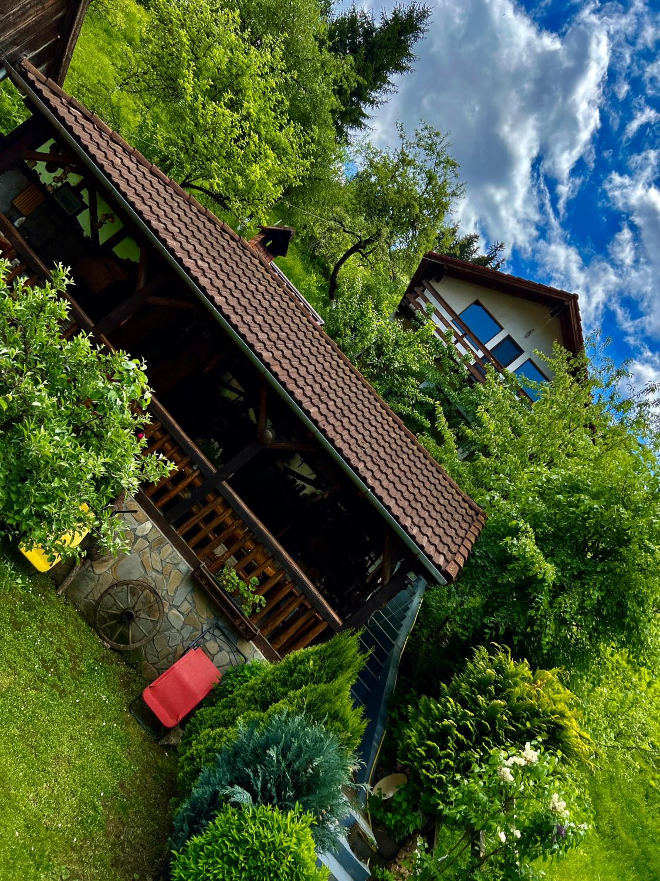 Cabana Vânătorilor view 3