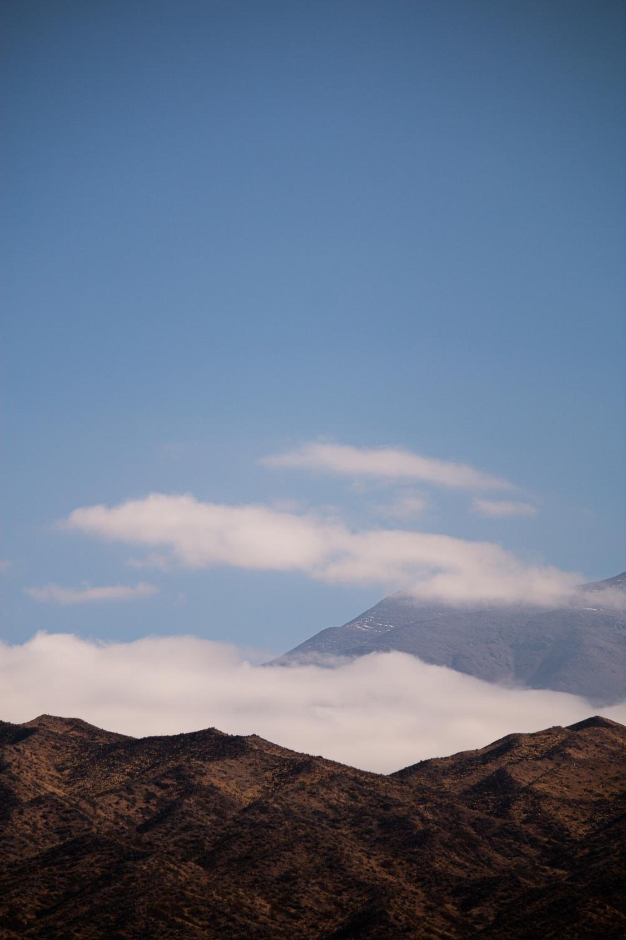 Piuquenes Potrerillos