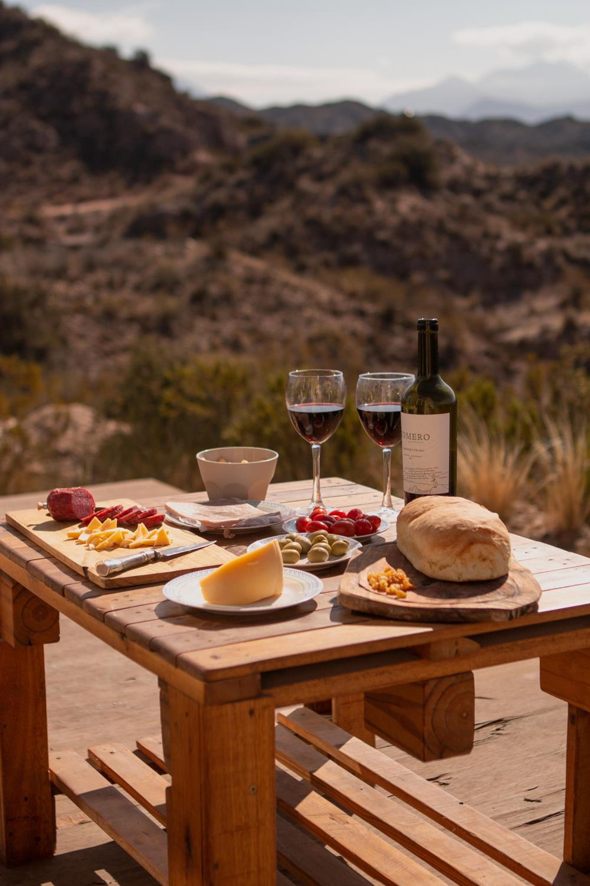 Piuquenes Potrerillos