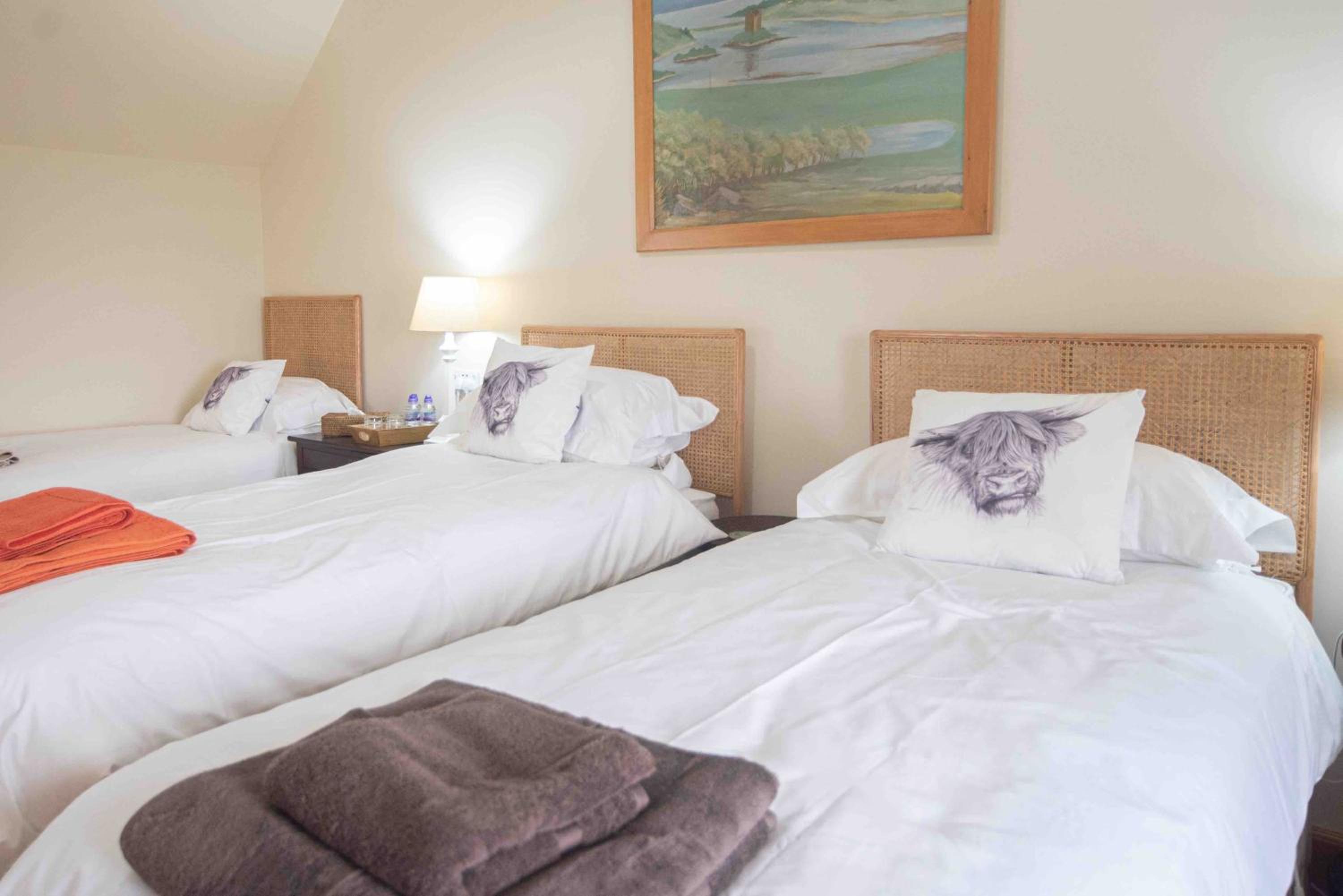 Steading Cottage - 50m from the beach view 4