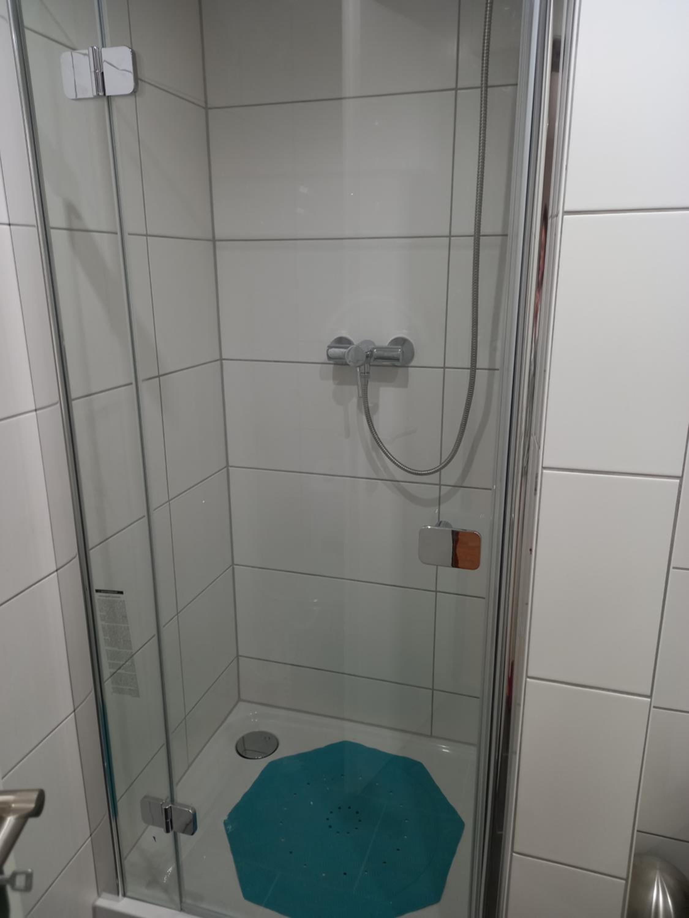 Rheinapartment 8