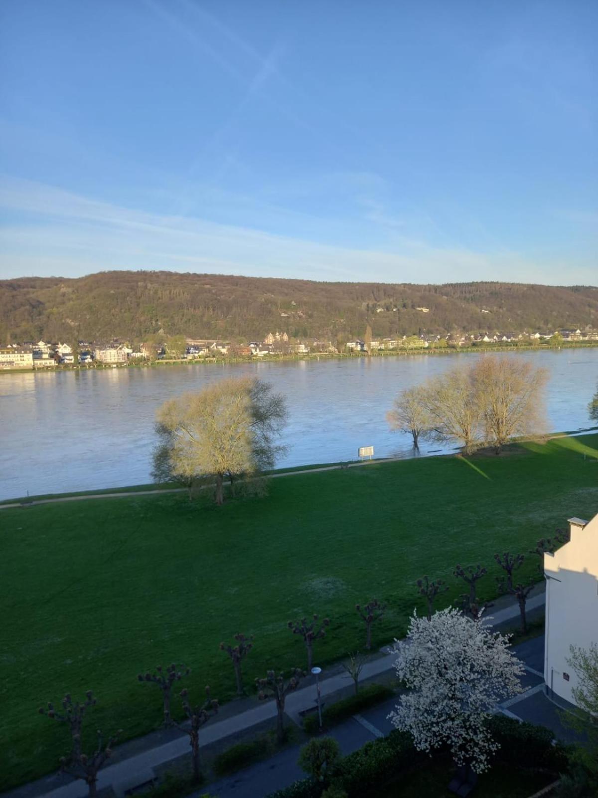 Rheinapartment 8