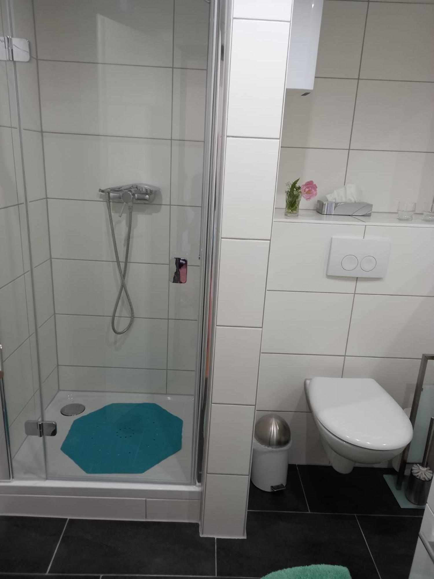 Rheinapartment 8