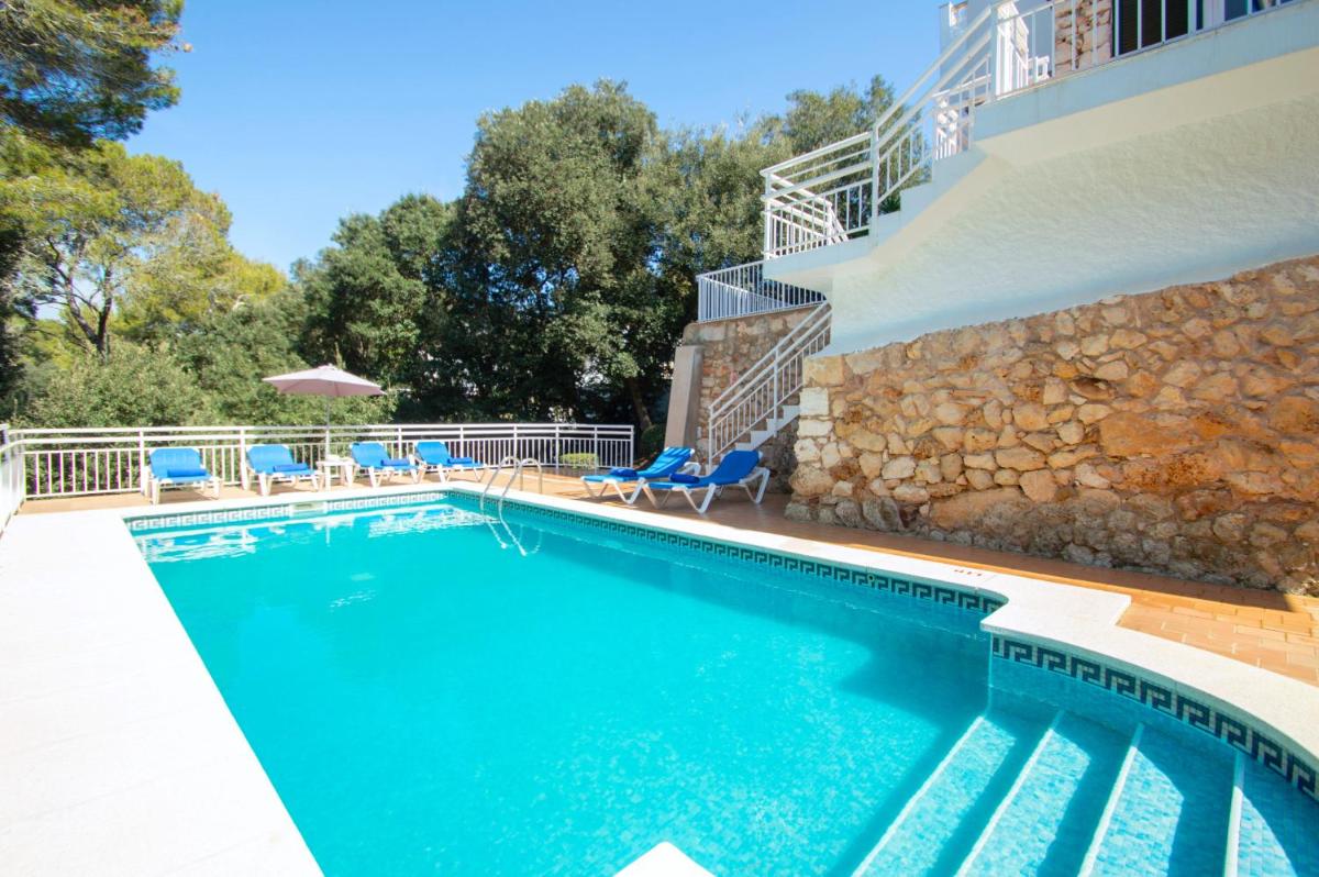 Photo 29