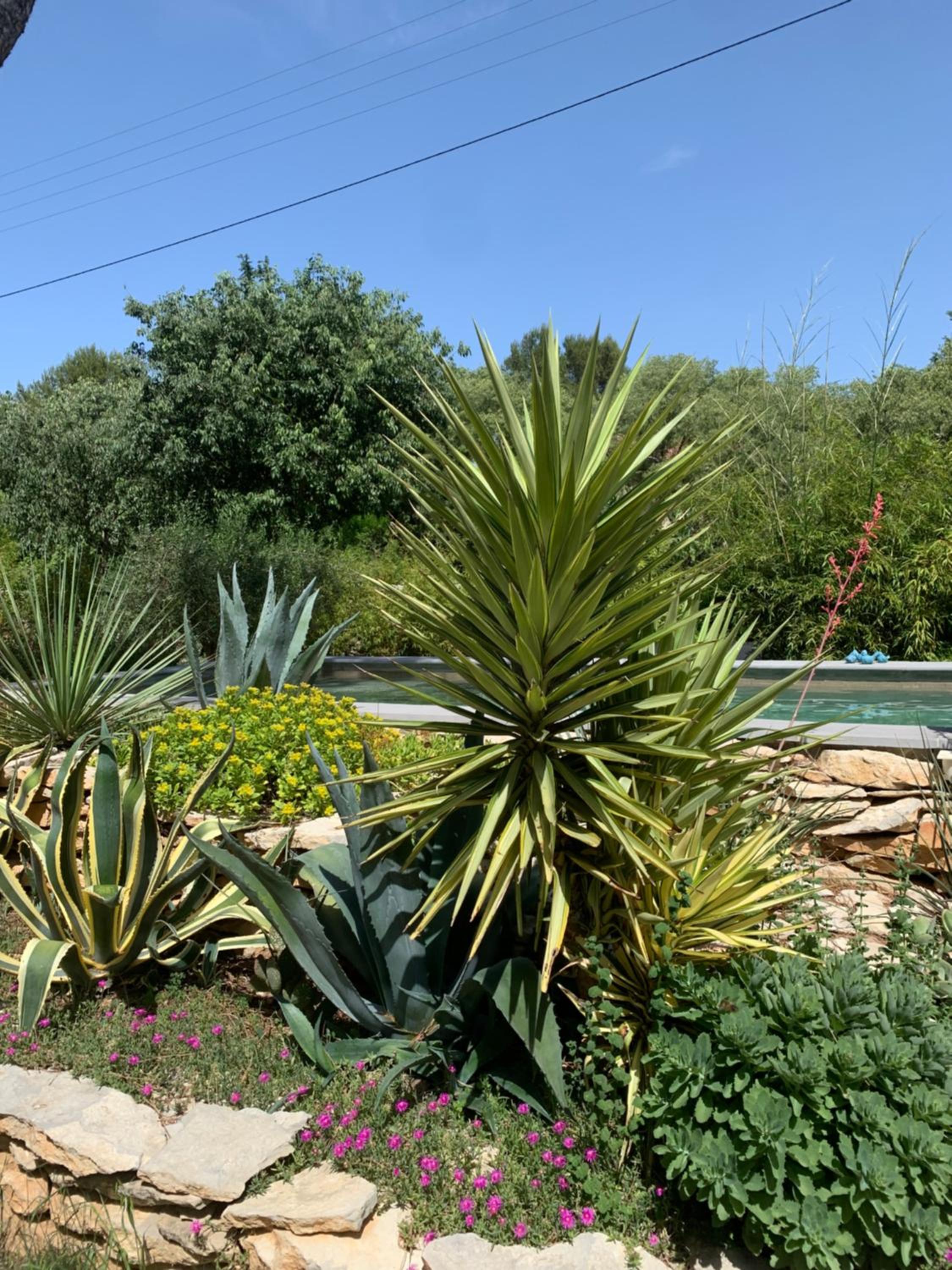 Photo 19