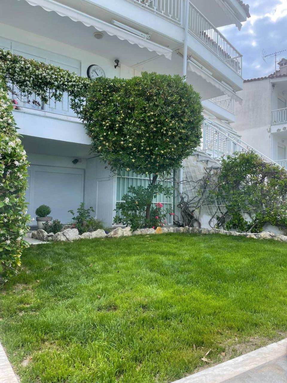 Photo 38