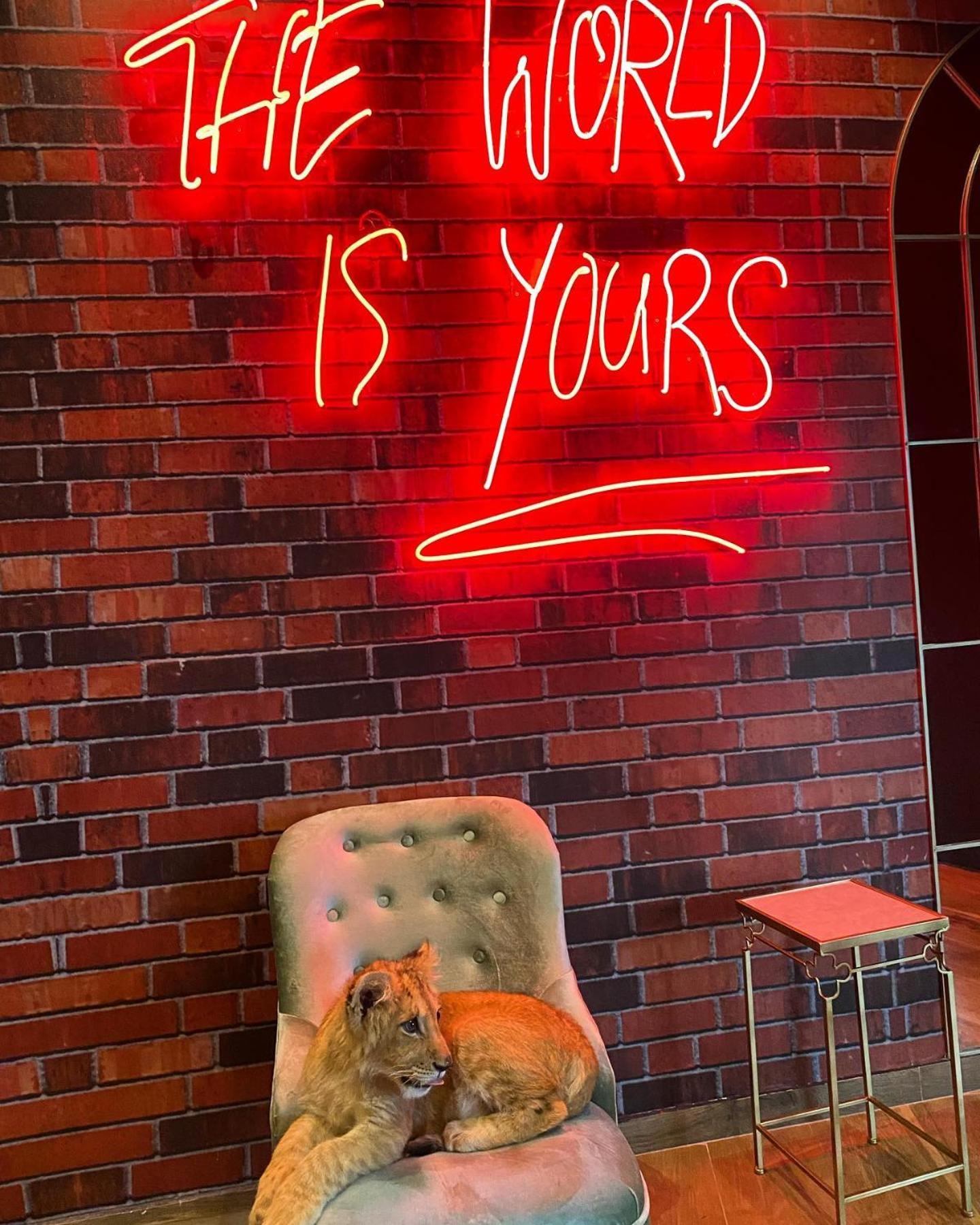 lounge