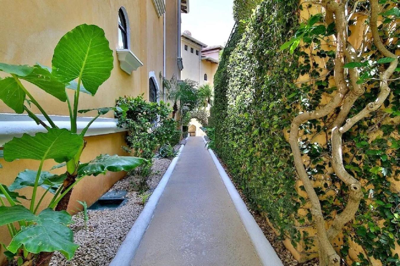 Playa Flamingo penthouse with pacific sunset views - Flamingo Rose Vista