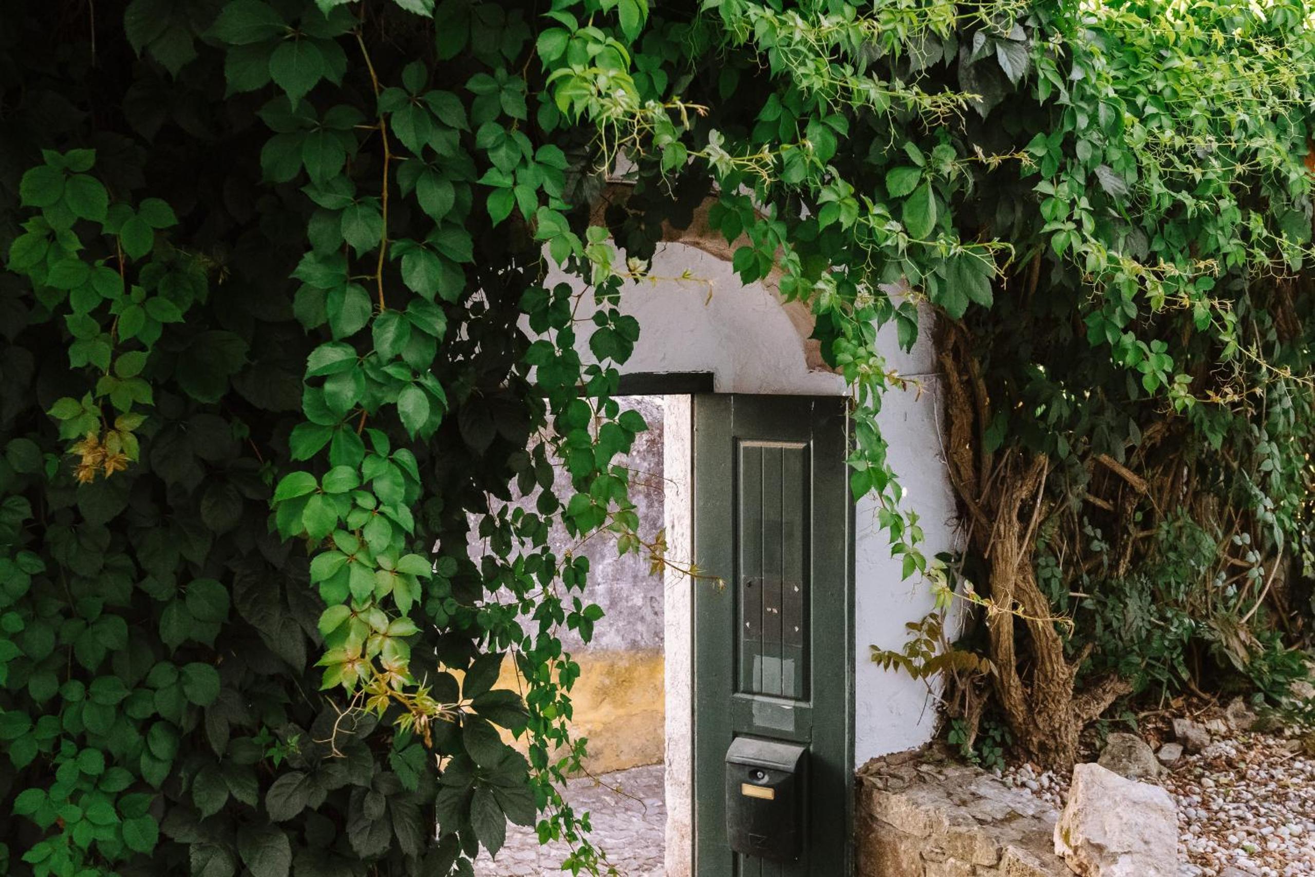 Casa António Moreira