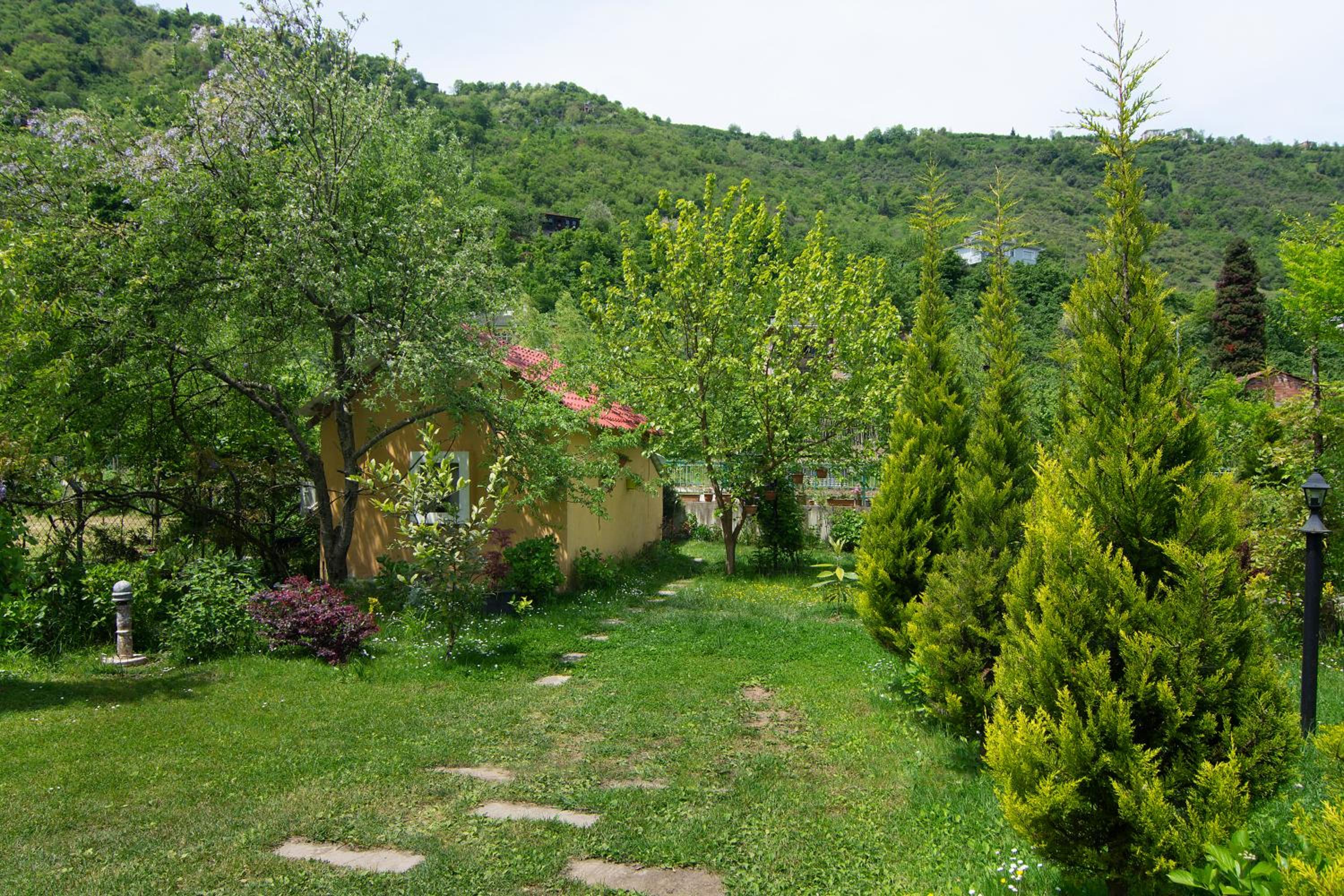 Photo 10