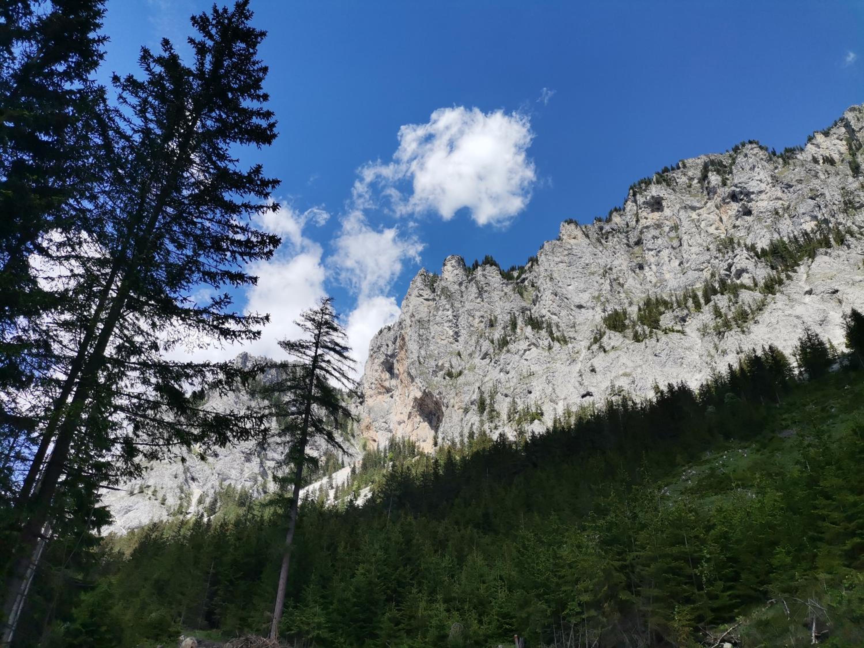 Haus Bergblick am Grünen See