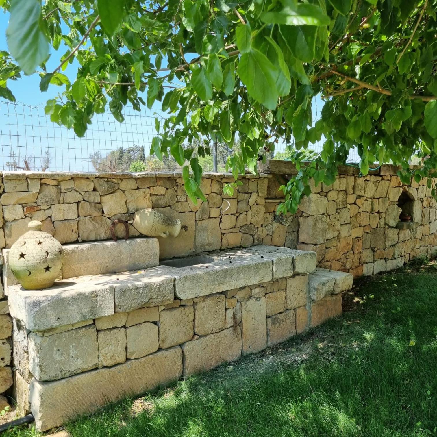 Photo 29