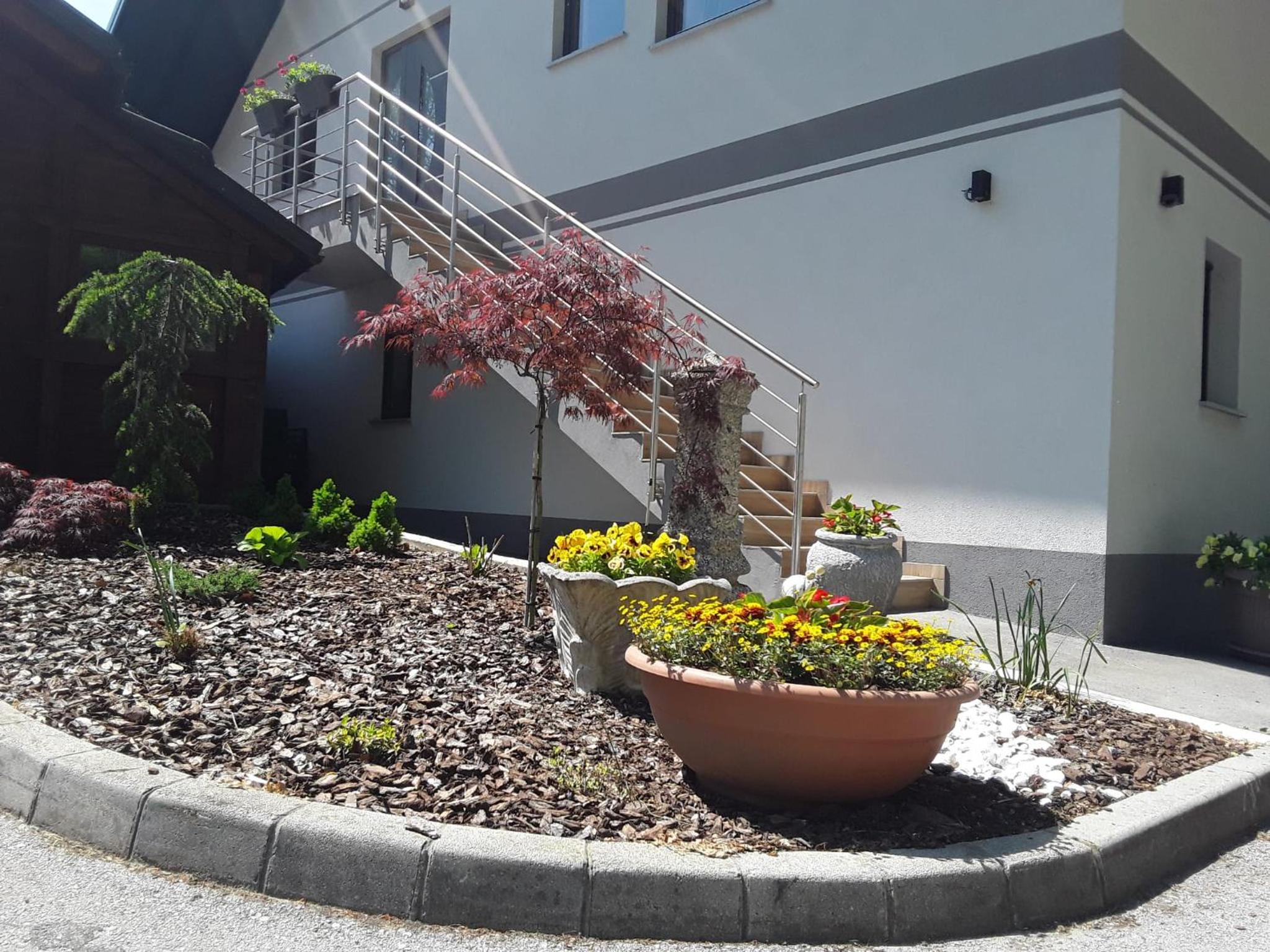 Apartmaji Tisa in Žana view 5