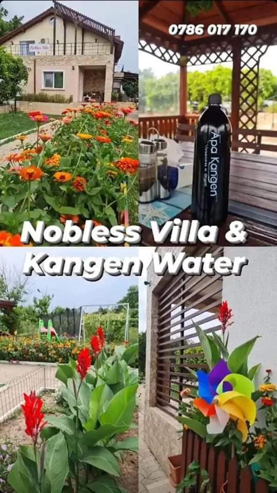 Nobless Villa view 4