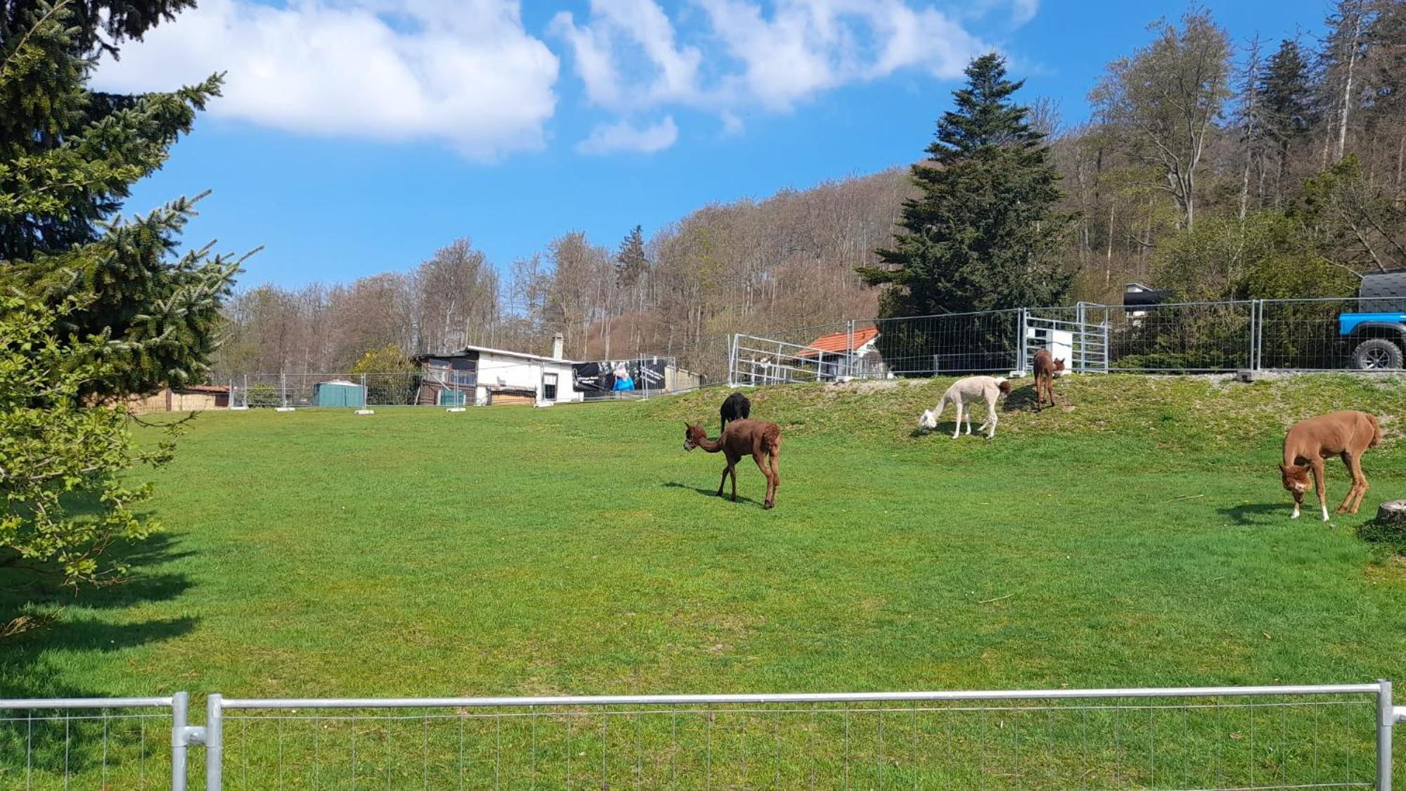 Bergpanorama Ruhla, photo 15