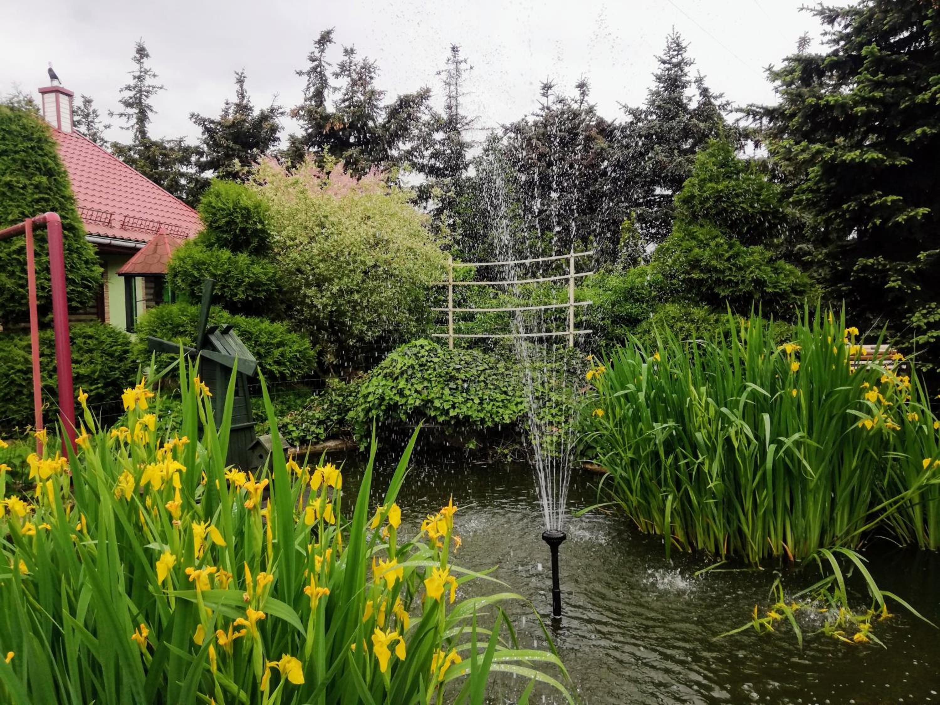 garden