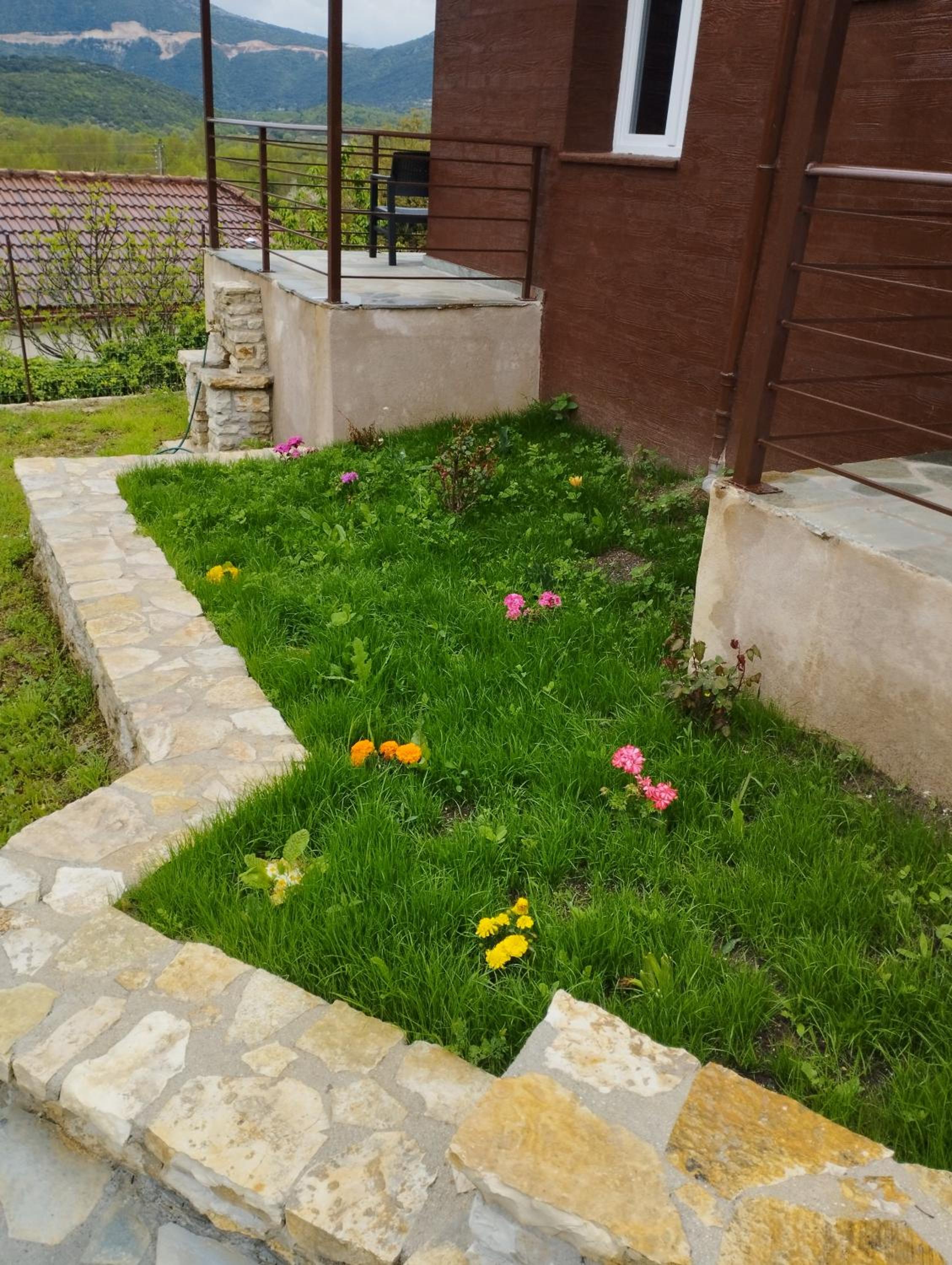 Photo 19