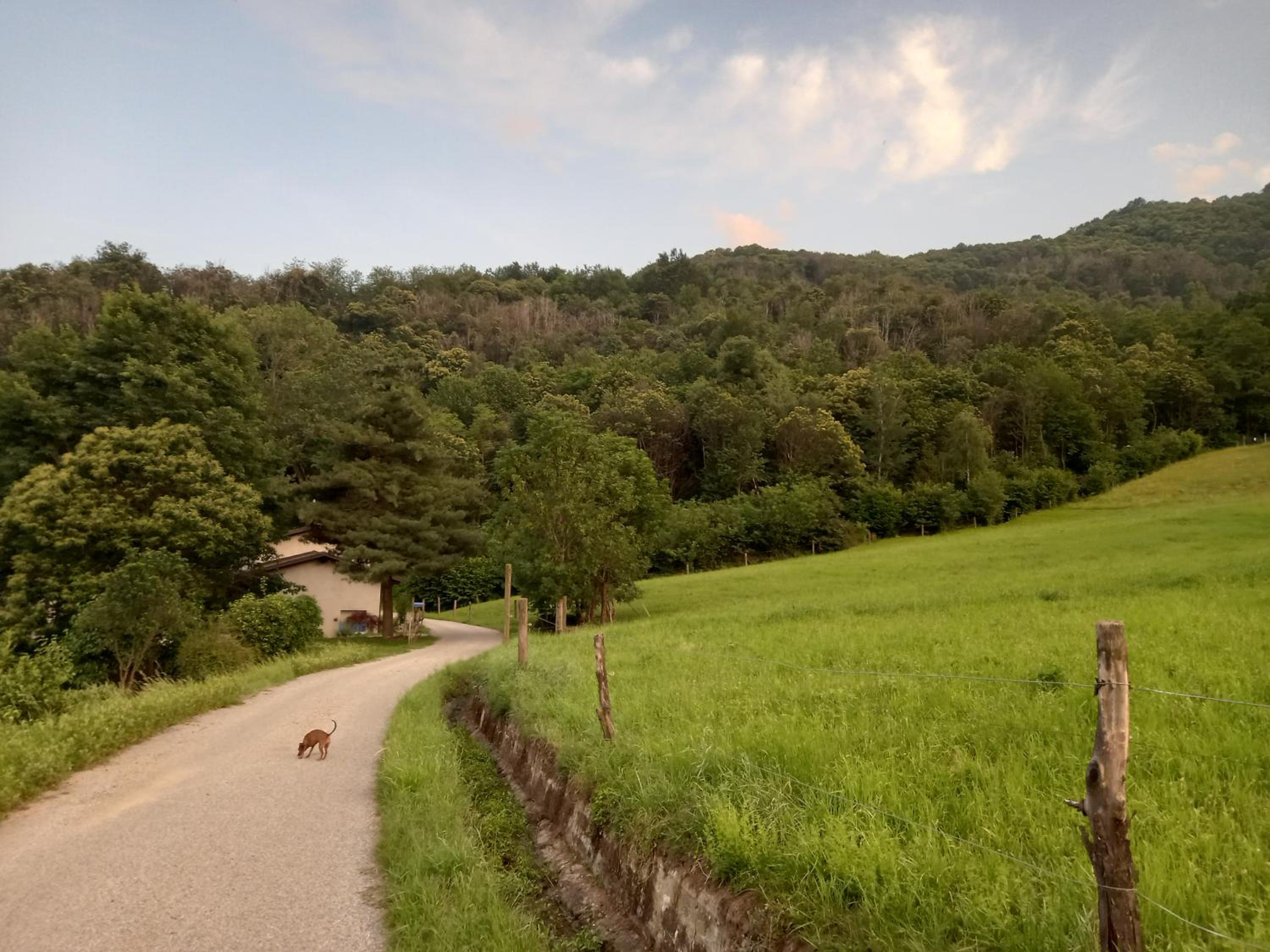 Photo 16