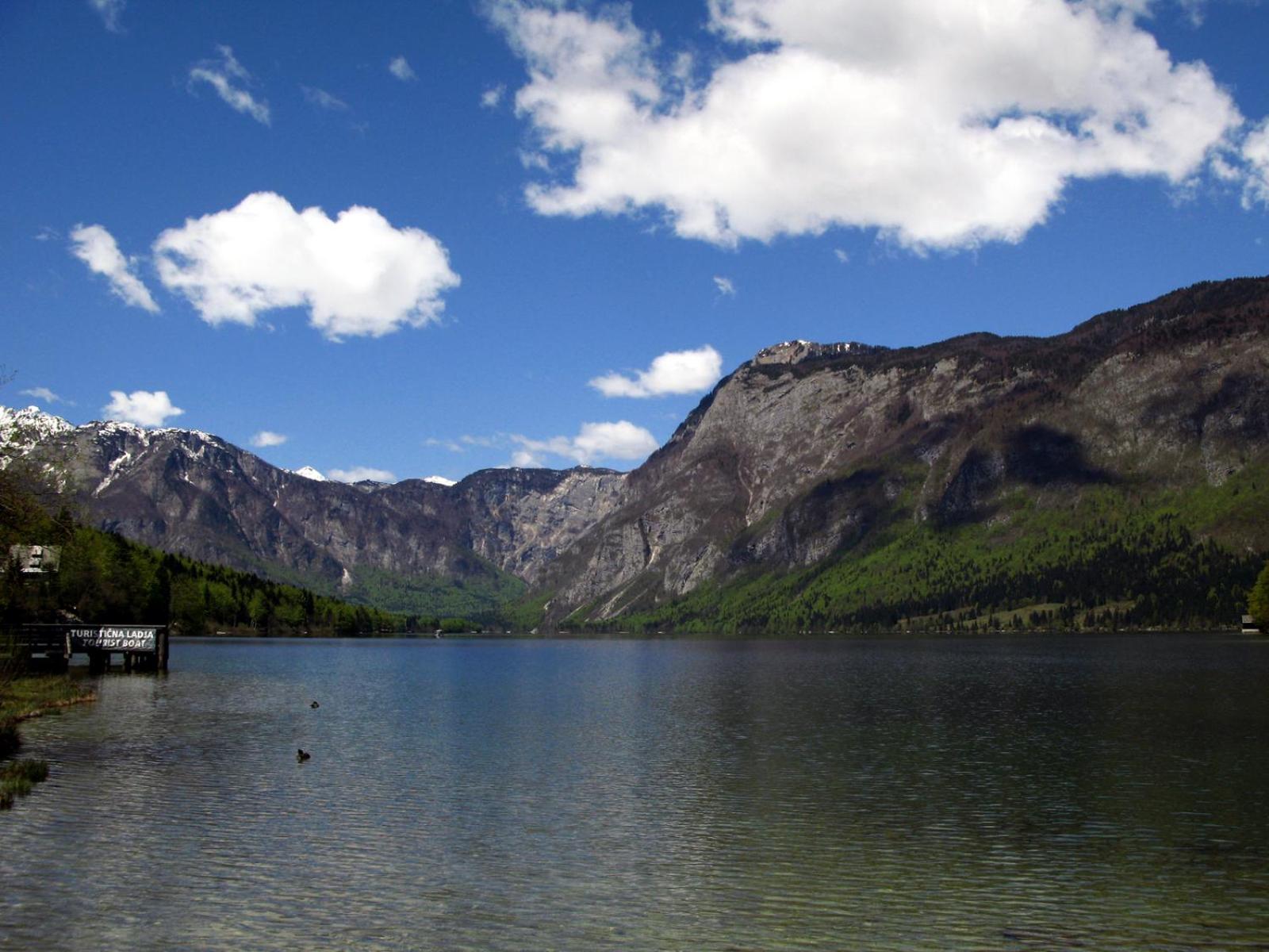 Apartments Lake Bohinj