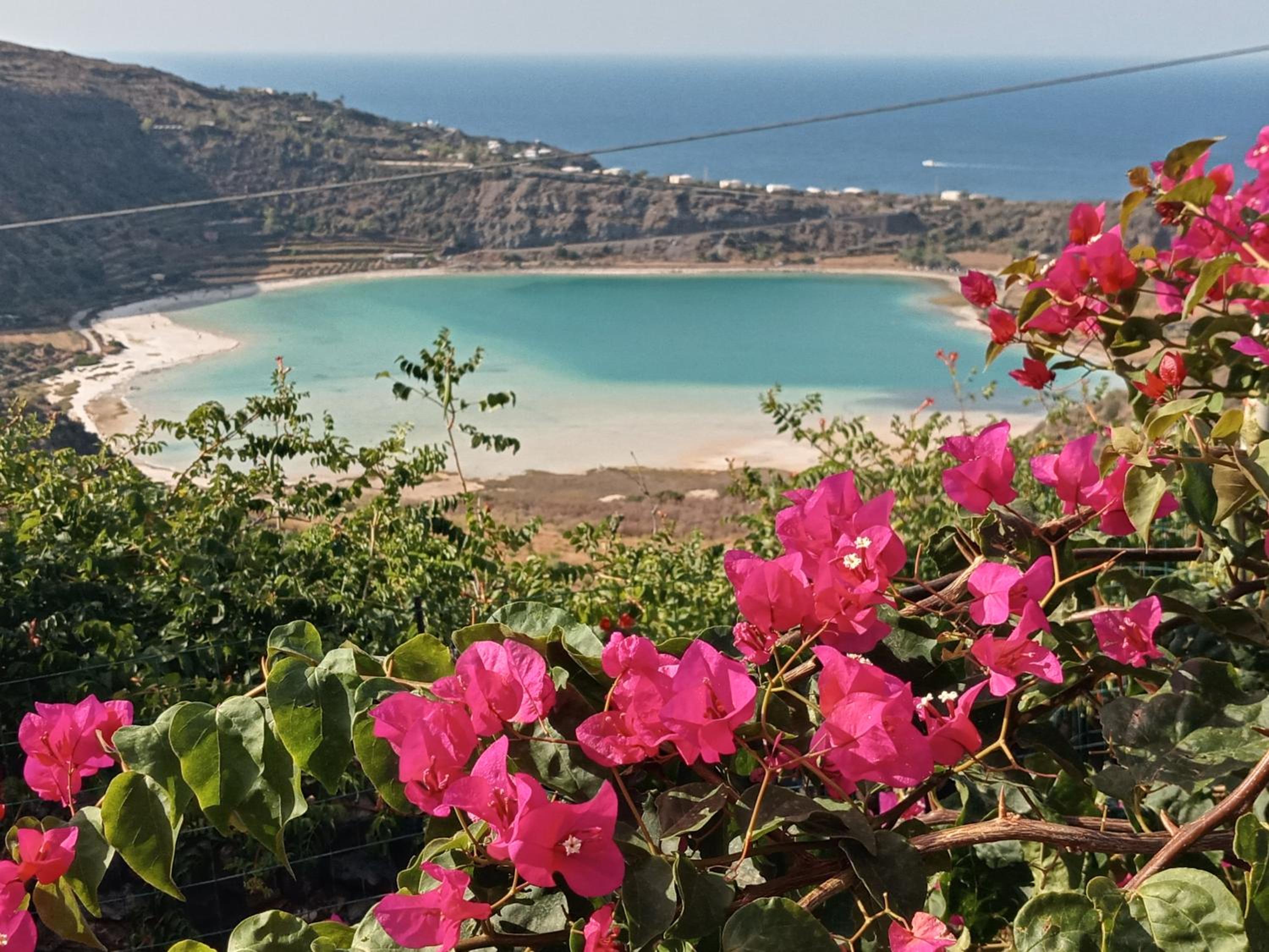 Dammuso Pantelleria - Fiori D'Ossidiana