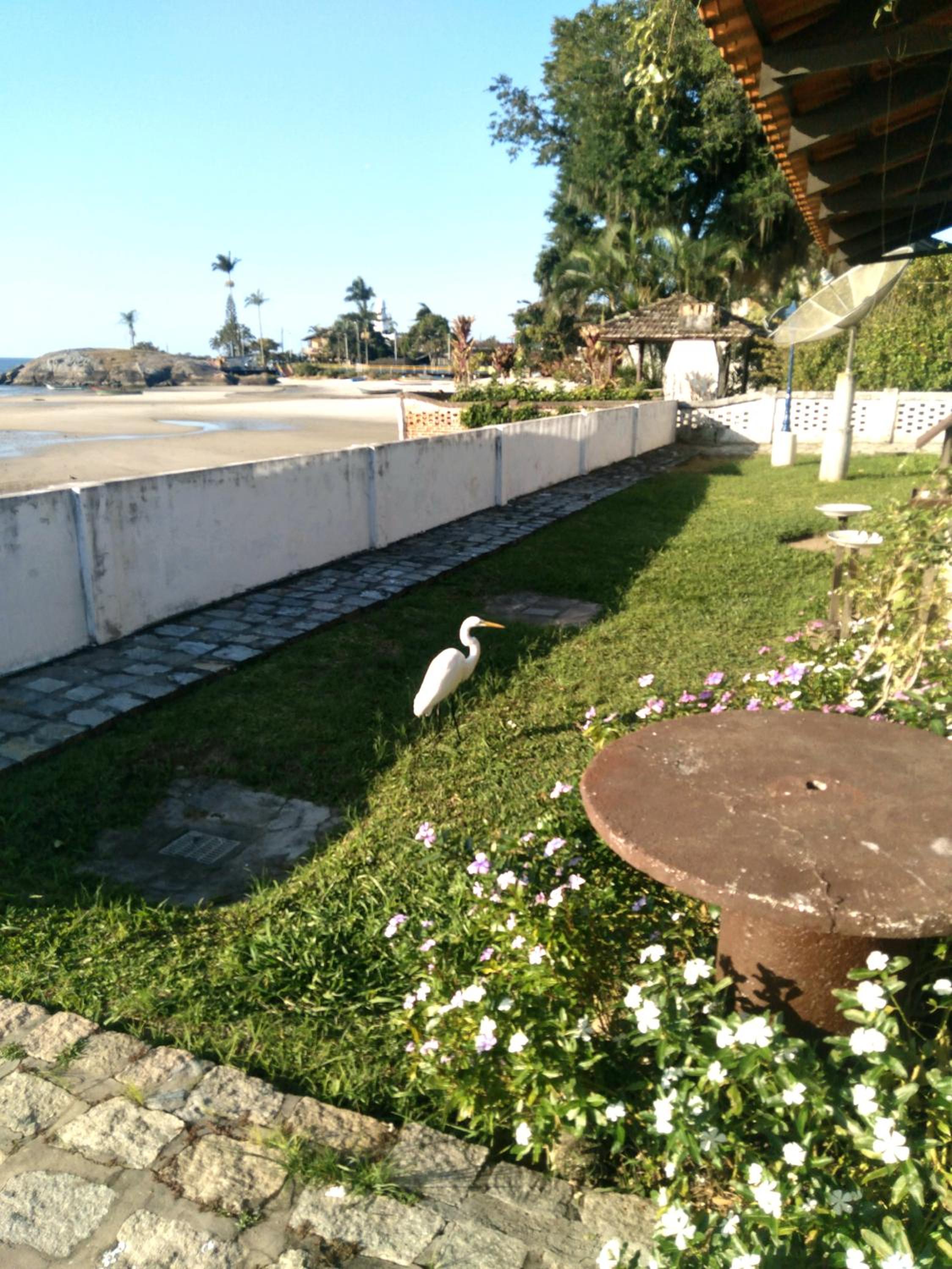 Photo 36