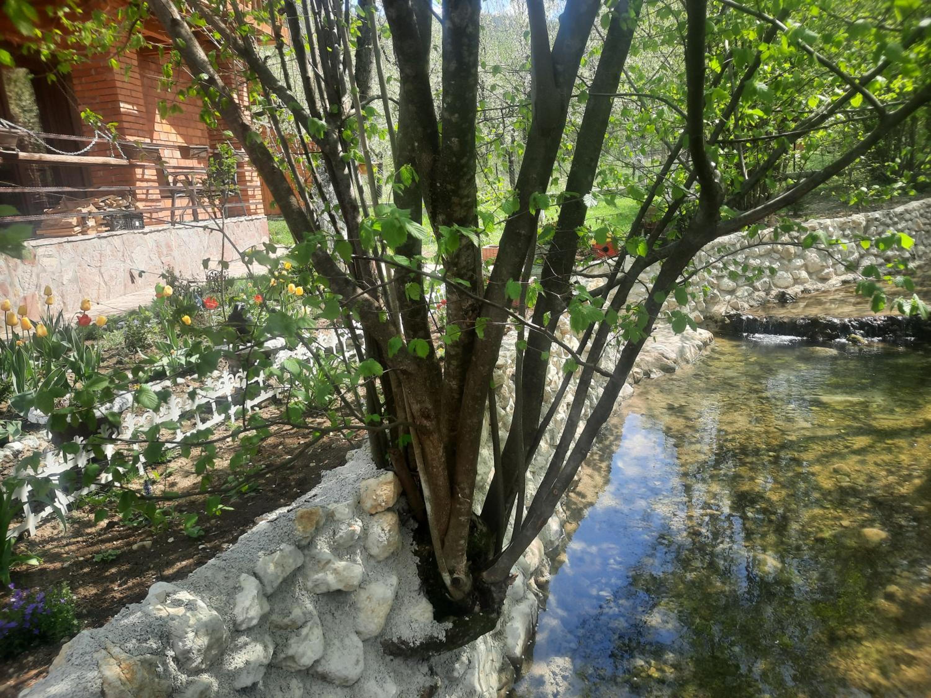 Live Nature