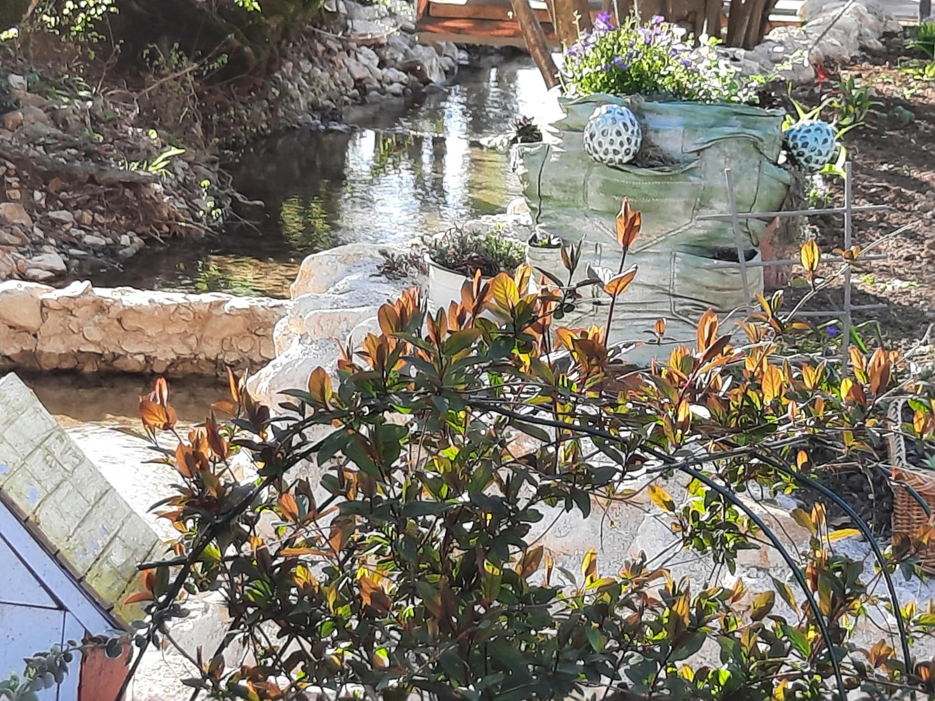 Live Nature