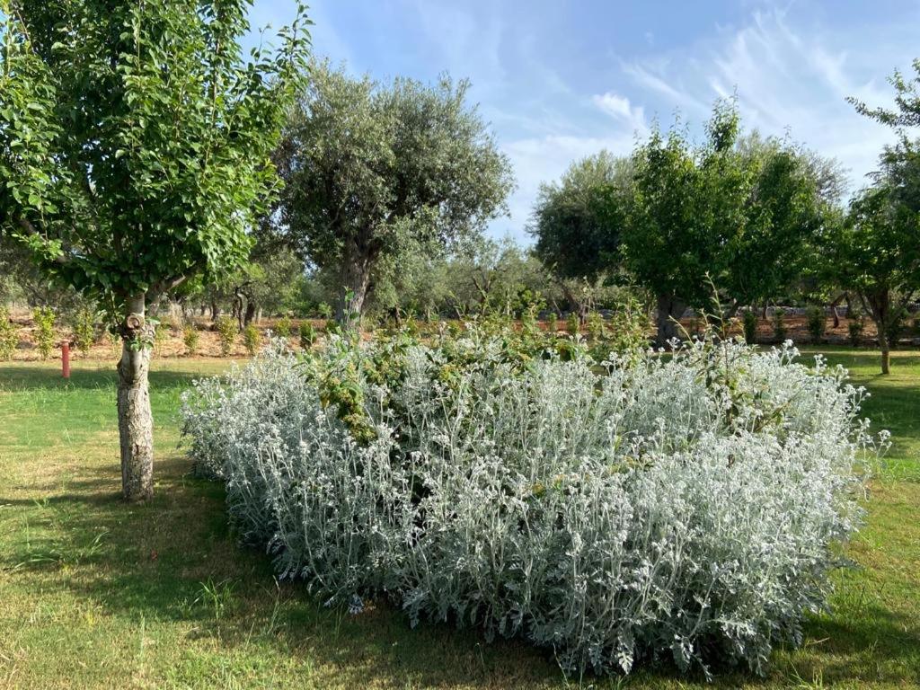 Il Villino di GRAZIO photo 5