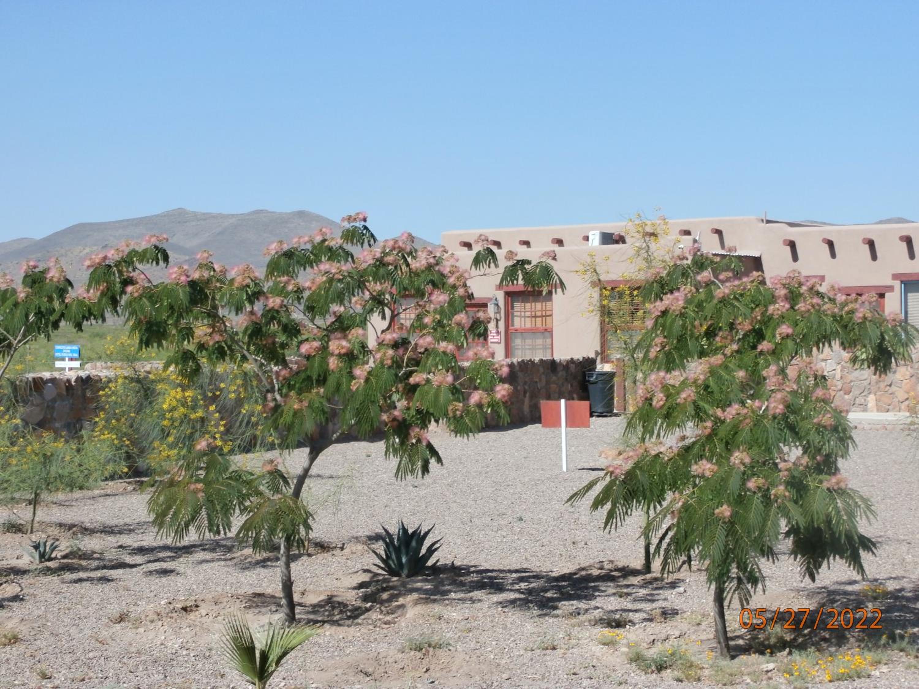 PUEBLO DEL SOuL at Paquime view 2