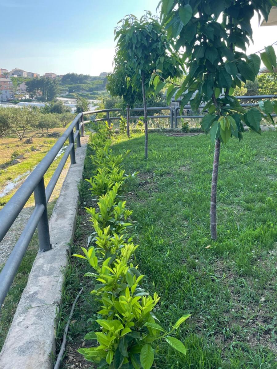 Apartman David 73 view 3