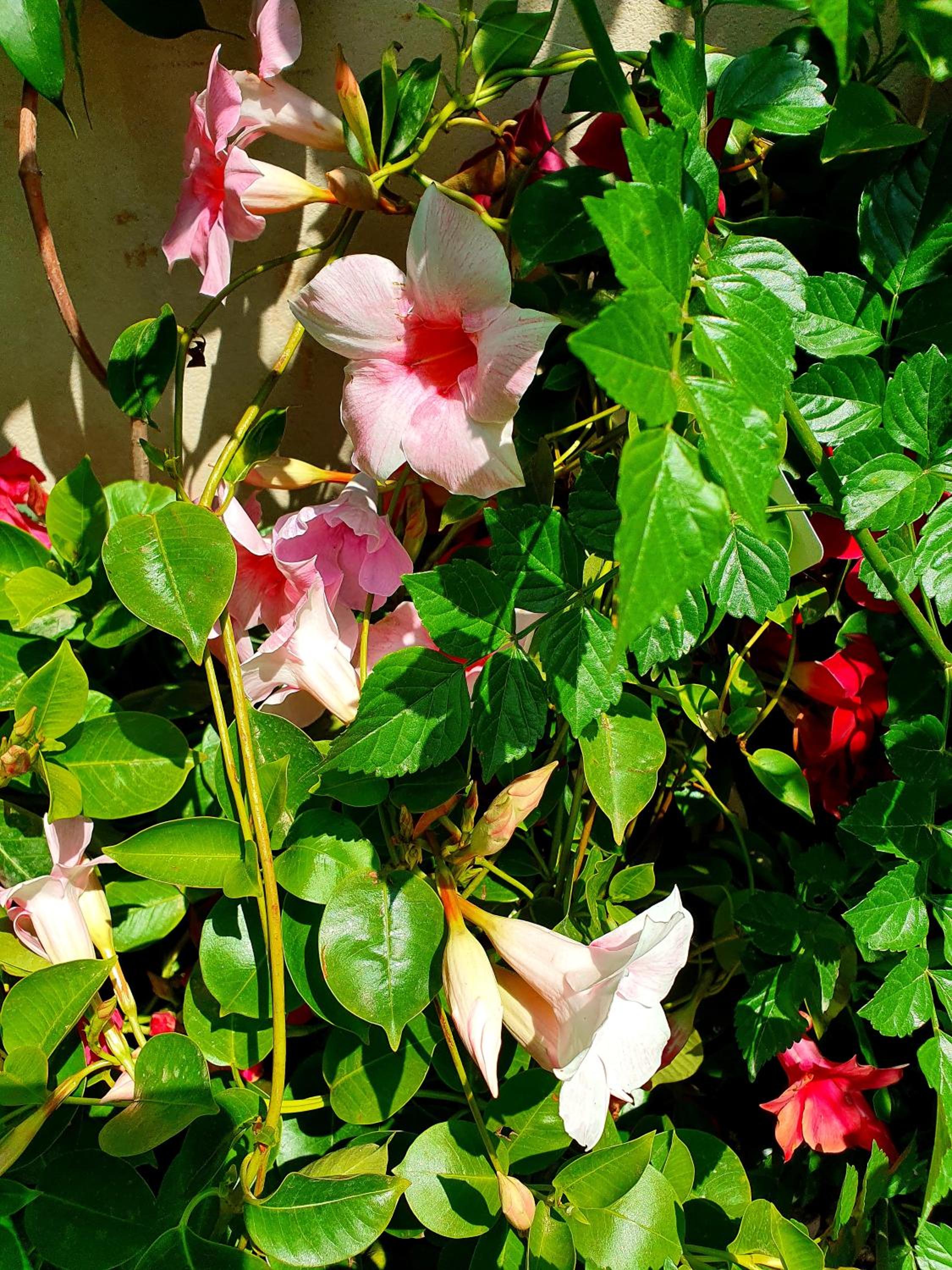 Photo 45