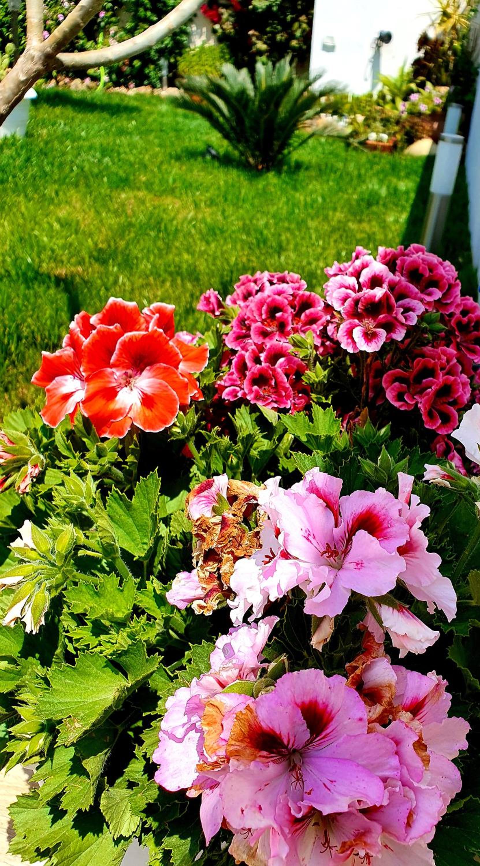 Photo 46