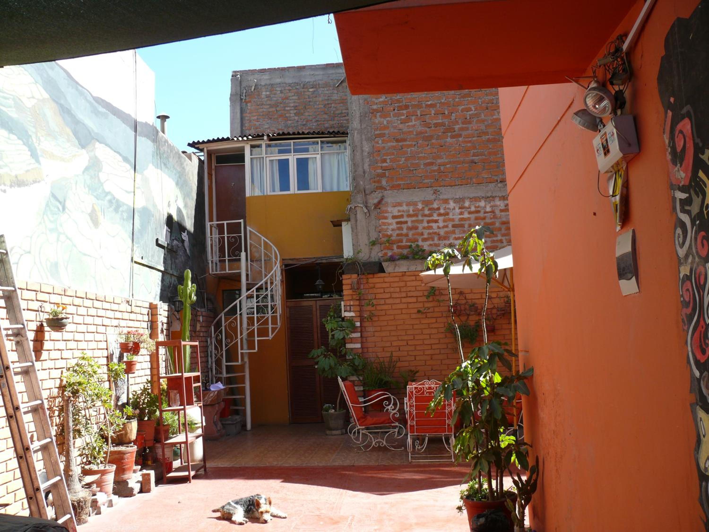Photo 11