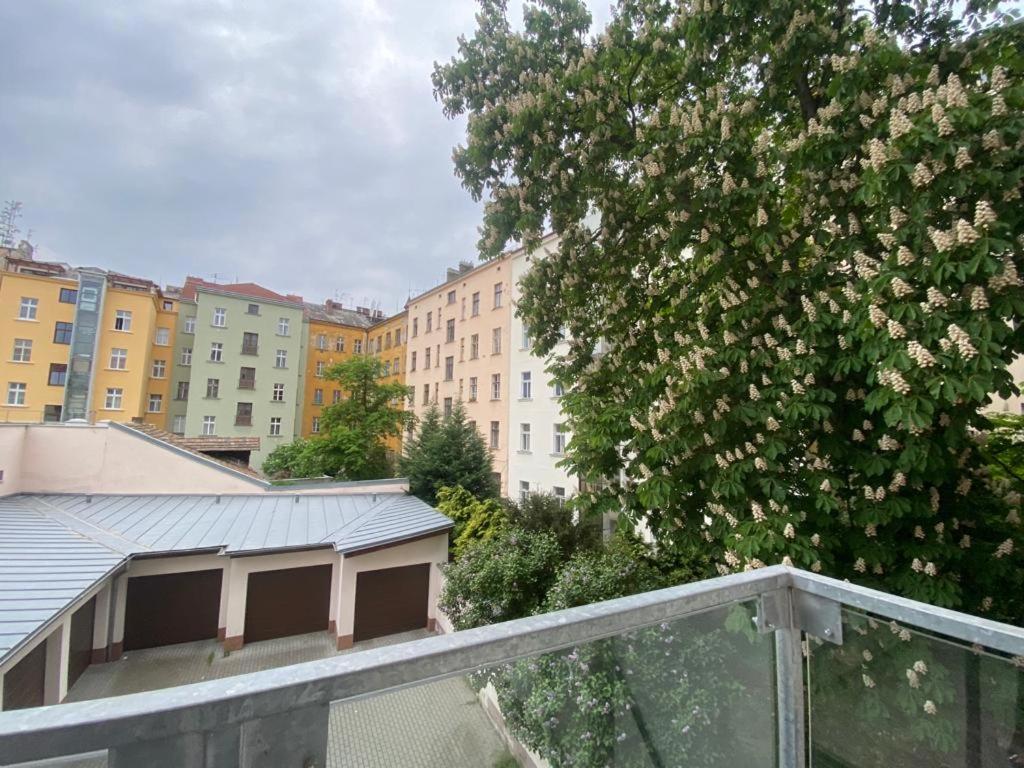 Designed apartment next to Vaclav square with terrace and private garage