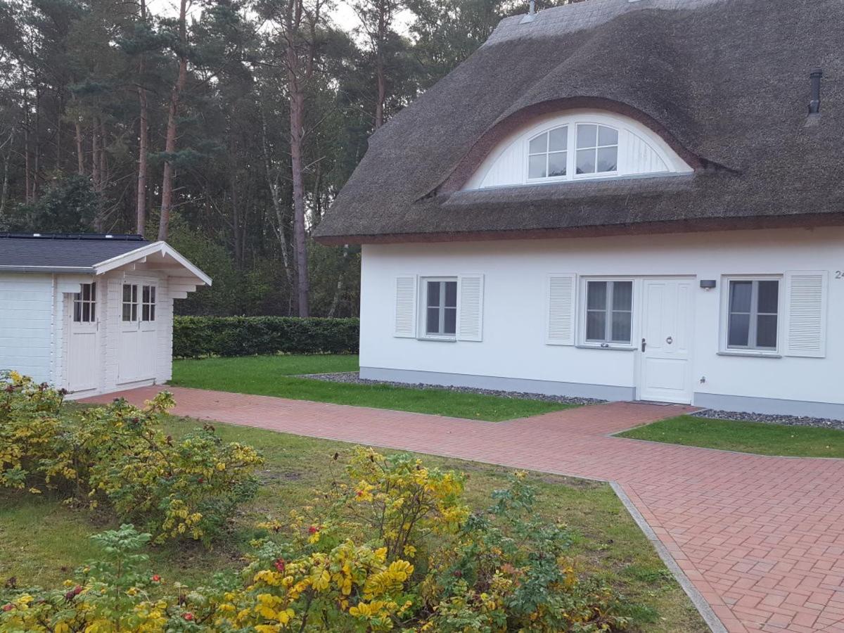 Weißes Traumhaus