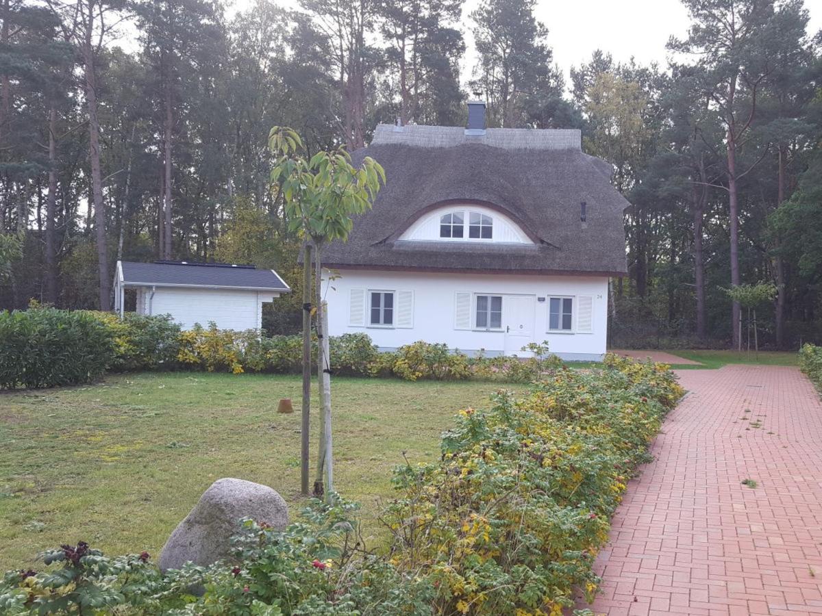 Weißes Traumhaus