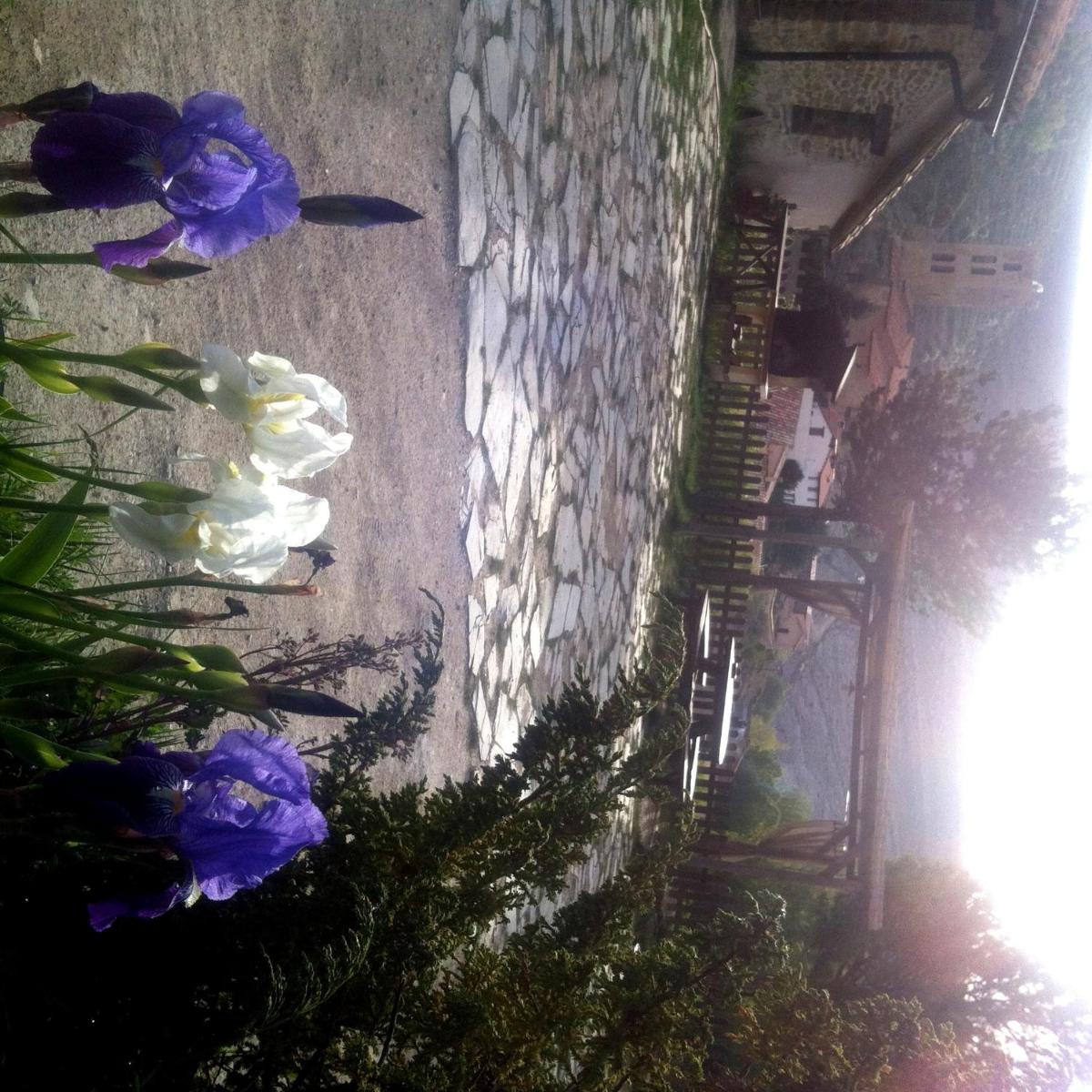 Photo 32